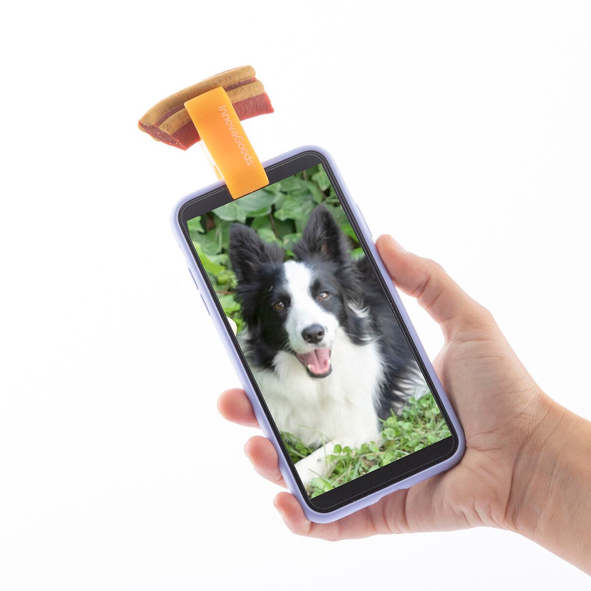 Clip de Selfies para Mascotas Pefie InnovaGoods - Vista 5
