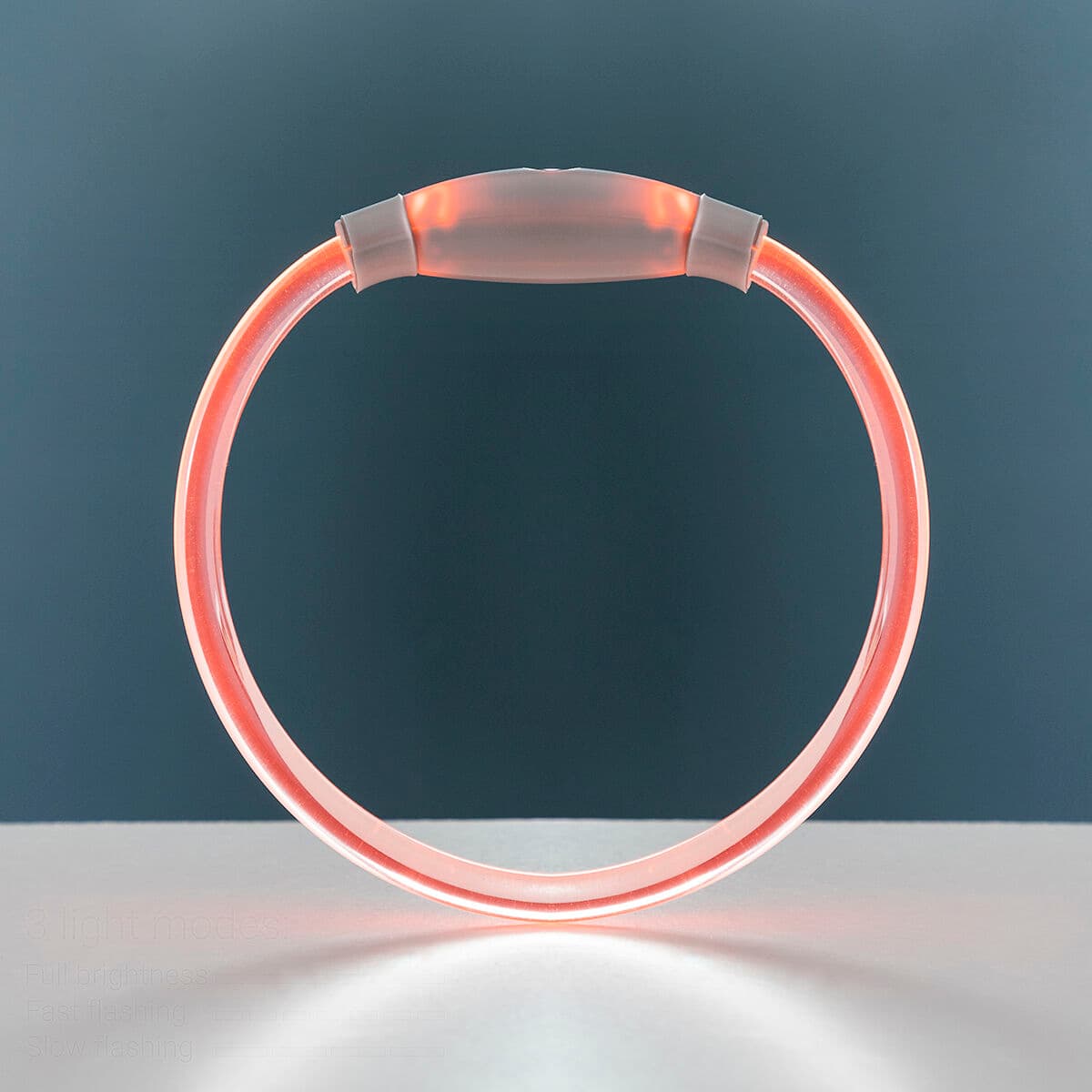 Collar LED para Mascotas Petlux InnovaGoods - Vista 9