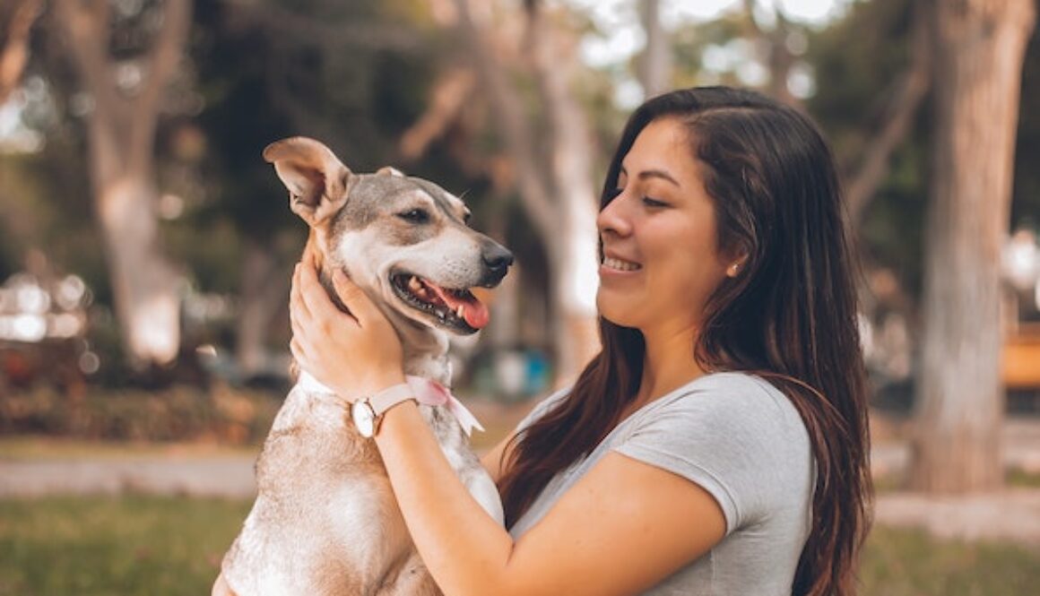 Los perros están a nuestro lado