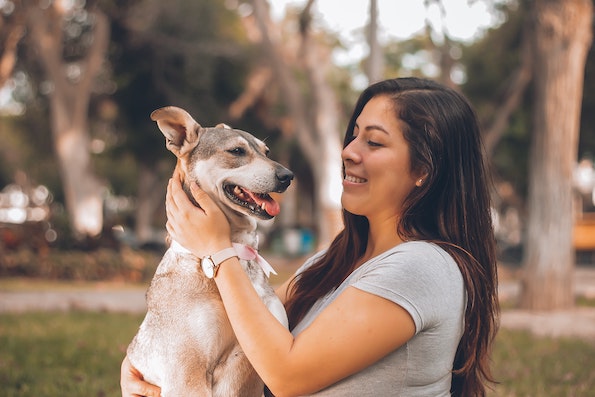 Los perros están a nuestro lado