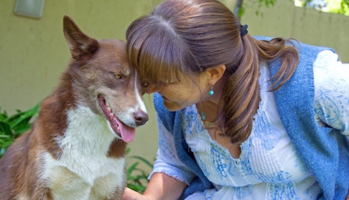 Los perros saben cuando estás triste