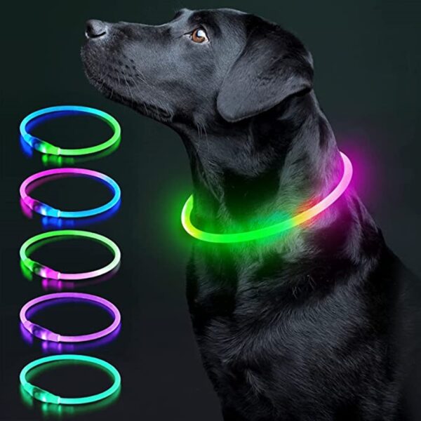 Collar de Cadena de Colorido de Luz Nocturna para Perros USB