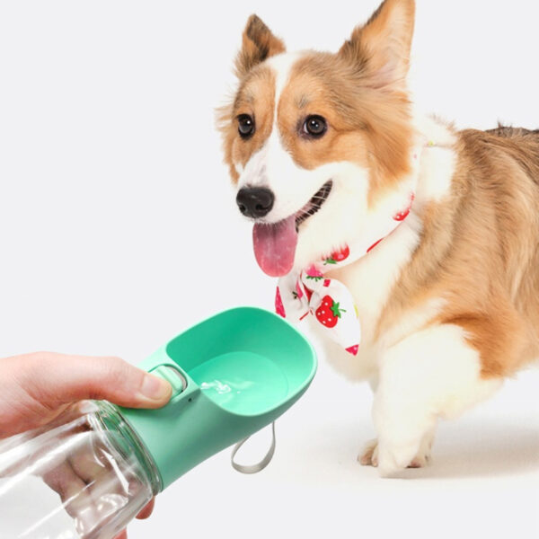 Botella de agua portátil para perros y gatos pequeños y medianos - 300 ml