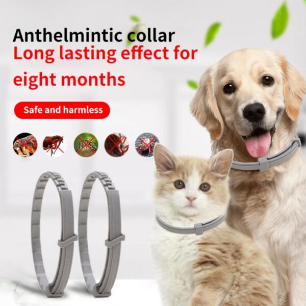 Collar antiparasitario para perros y gatos - Protección contra pulgas y garrapatas