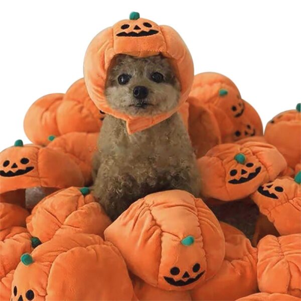 Disfraz de calabaza para perros traviesos con sombrero y gorra para Festival, Cosplay y fotos.