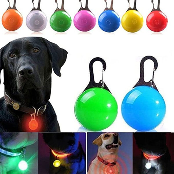 Collar luminoso LED para mascotas: seguridad nocturna con estilo con carga USB