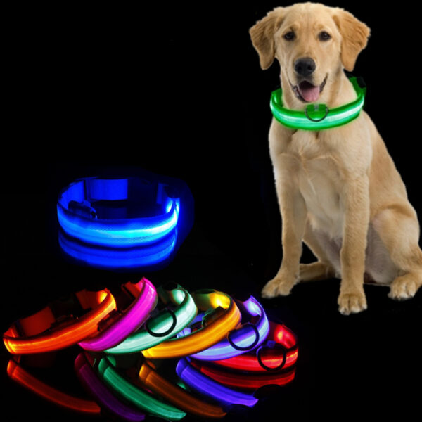 Collar Led antipérdida para perros y cachorros - Accesorio luminoso para la noche