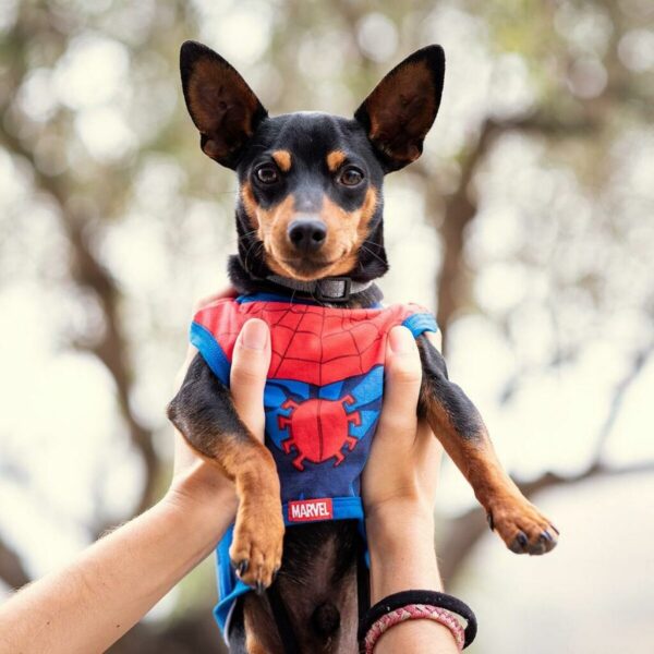 Camiseta para Perro Spider-Man Rojo