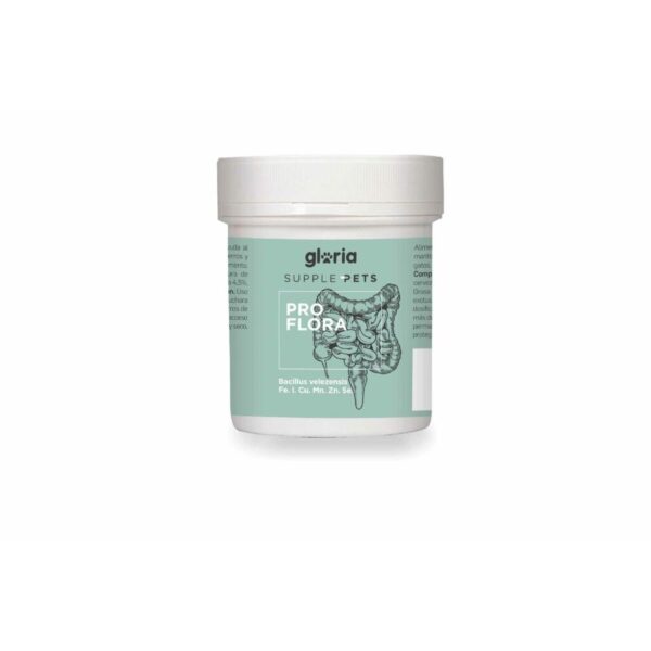 Complejo Multivitamínico Supple Pets PRO FLORA 70 g