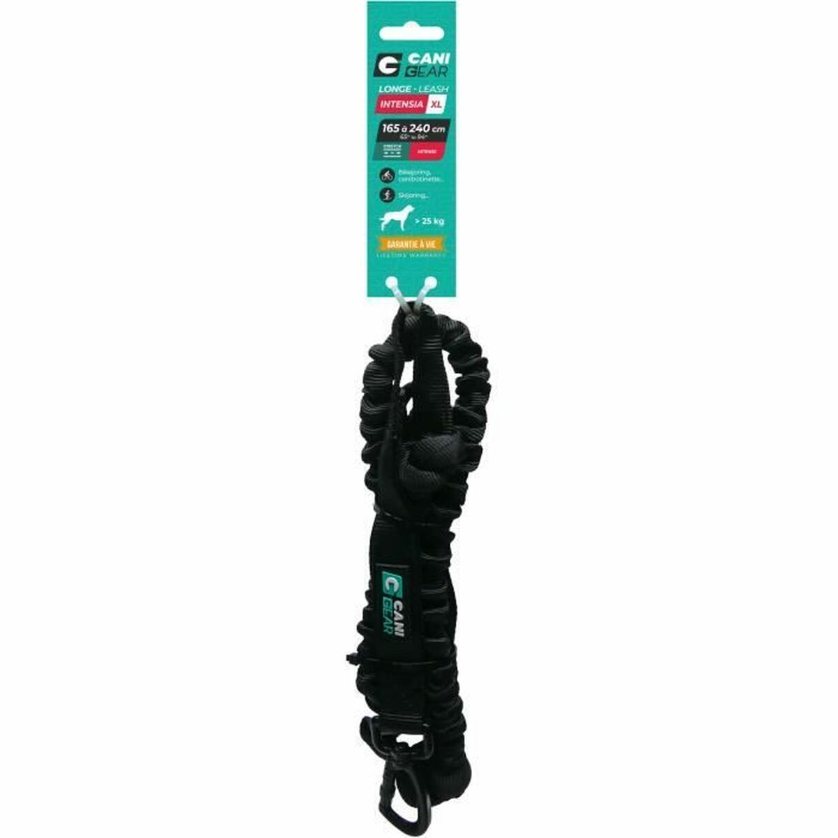 Correa para Perro Negro XL