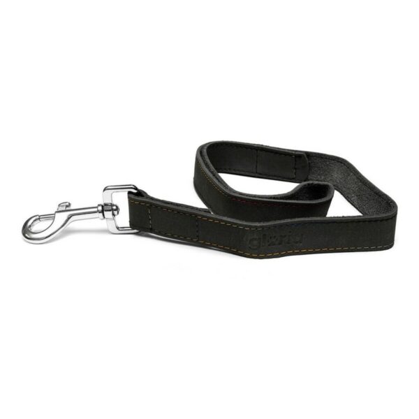 Correa para Perro Gloria Oasis 1.5 x 100 cm Negro