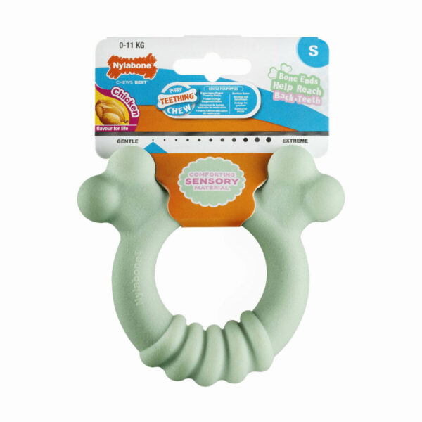 Mordedor de perro Nylabone SENSORY TACTILE RING Verde Manteca de cacahuete Pollo S