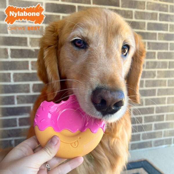 Juguete para perros Nylabone Rosa Bacon L