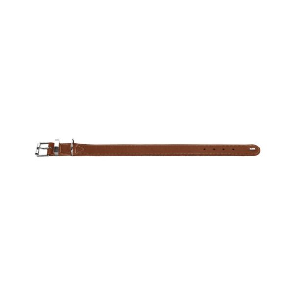Collar para Perro Hunter Aalborg Special Cognac (36-44 cm)