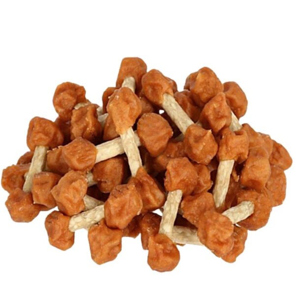Pienso Petitto Pollo 500 g Adulto 500 gr