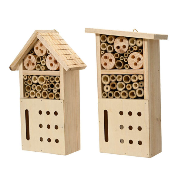 Caja para insectos Decoris