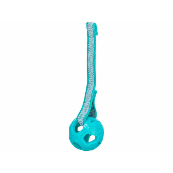 Juguete para perros Trixie Turquesa ø 6 x 23 cm Bola