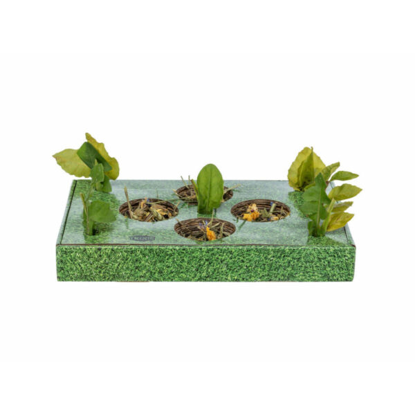 Bandeja de Aperitivos Trixie Verde Cartón 28 x 3,8 x 18 cm