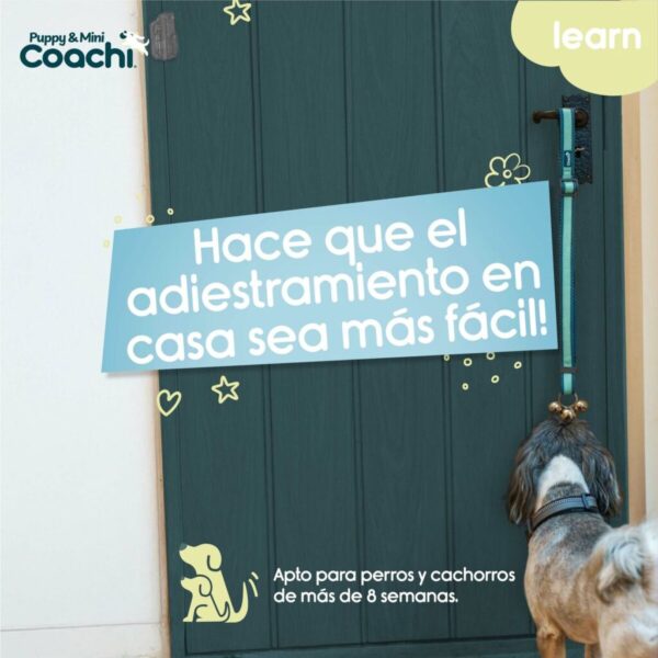 Arnés para Perro Coachi