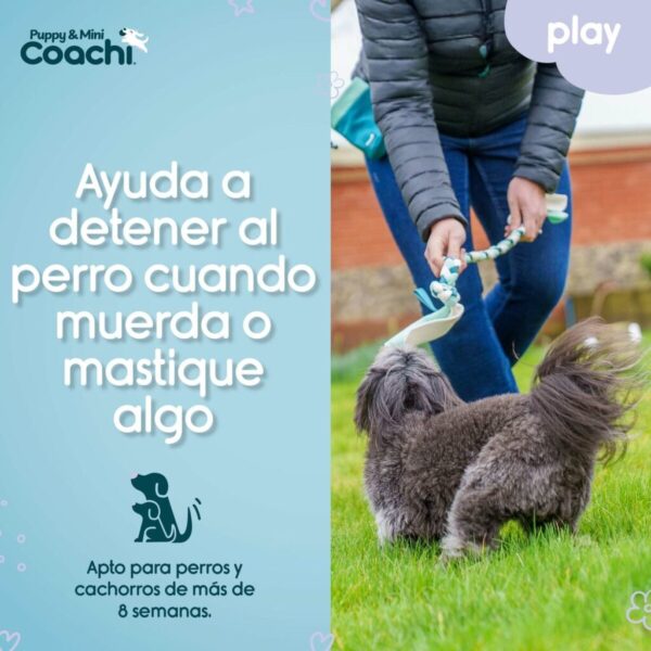Arnés para Perro Coachi