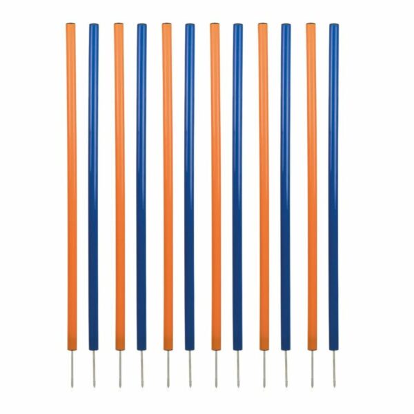 Juguete de adiestramiento Trixie