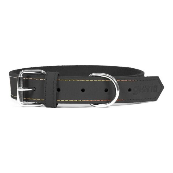 Collar para Perro Gloria Oasis Negro (70 x 3 cm)